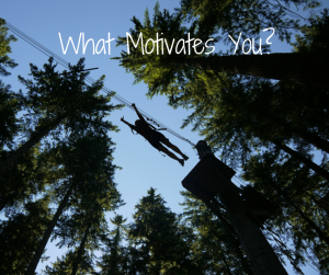 What Motivate You-
